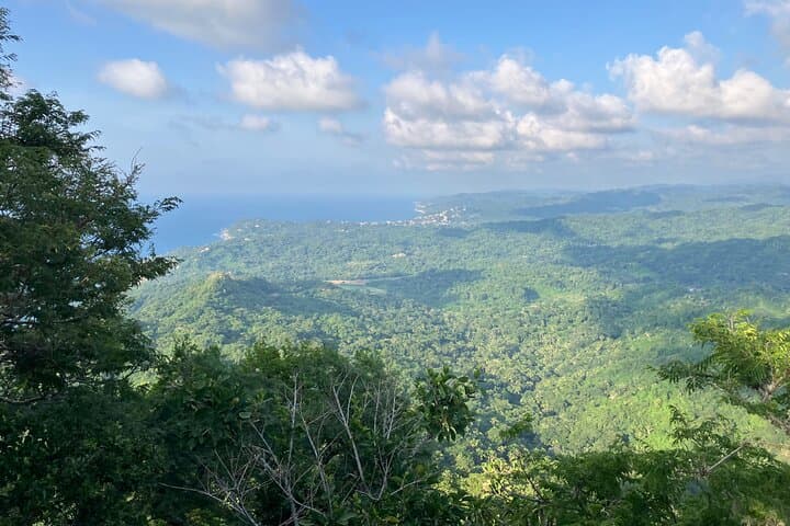 Monkey Mountain Hike from Sayulita: Summit Sunset & Jungle Trails photo 3