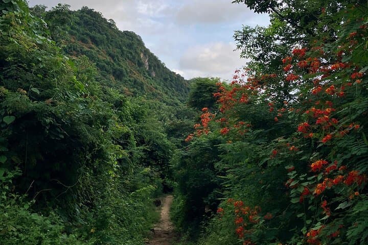 Monkey Mountain Hike from Sayulita: Summit Sunset & Jungle Trails photo 6