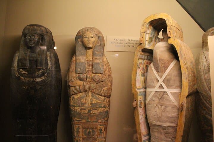 Explore the Field Museum in Chicago — Skip-the-Line Ticket & Audio Tour photo 4