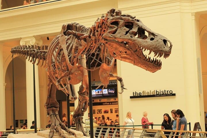 Explore the Field Museum in Chicago — Skip-the-Line Ticket & Audio Tour