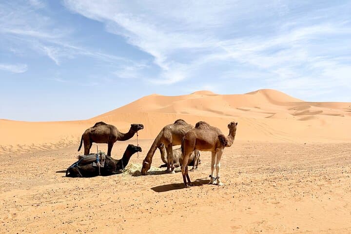 4-Day Sahara Desert Tour from Marrakech to Merzouga: Erg Chebbi, Gorges & Kasbahs photo 4