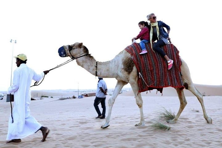 Private Morning Camel Safari in Ras Al Khaimah — 30-Minute Desert Camel Trek photo 1