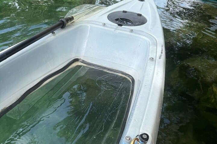 Crystal River Manatee Paddles: Snowbirds Guided Kayak & Paddleboard Sessions photo 6