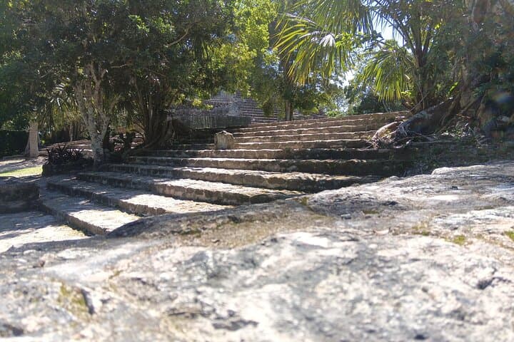 Four-Hour Jungle Tour to Chacchoben Mayan Ruins from Mahahual photo 3