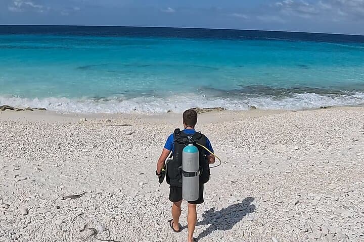 Guided Shore Diving in Bonaire Marine Park — Two Dives with Local PADI Instructors photo 4