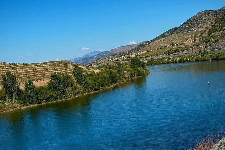 Douro Valley Wine Day Trip from Porto — Train, Quinta Tastings & Rabelo Boat photo 2