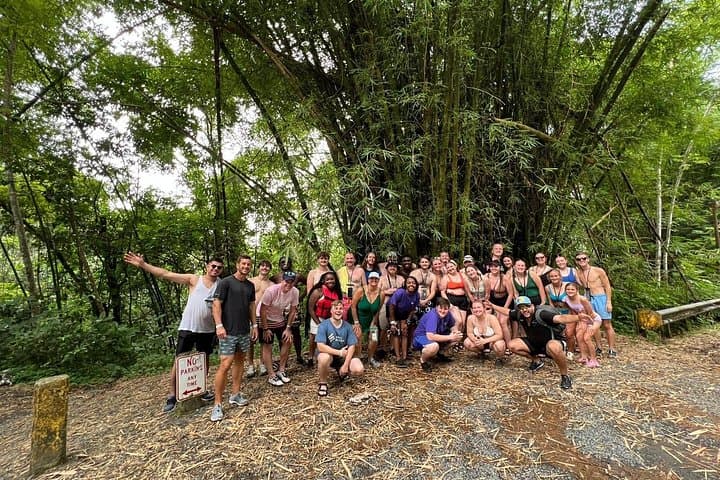 El Yunque Rainforest and Old San Juan Castle Day Tour: Hike, History & Views photo 2