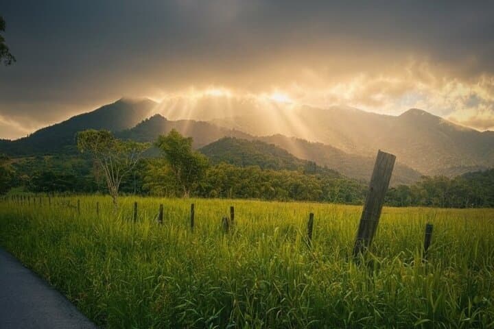 Private El Yunque Half-Day Rainforest Adventure with Transport photo 5