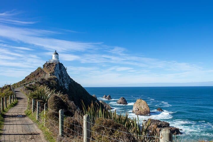 3-Day Southern Highlights: Milford Sound, Taieri Gorge & The Catlins photo 2
