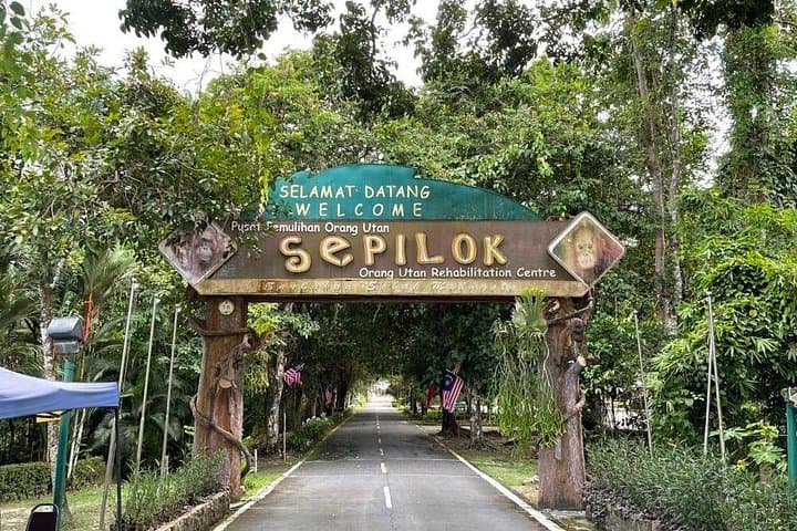 Sepilok Orangutan & Sandakan Rainforest Discovery Centre: Full-Day Wildlife Tour