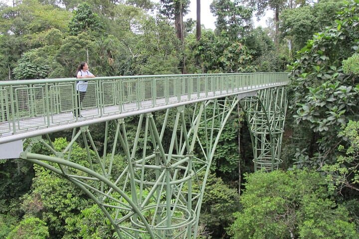 Sepilok Orangutan & Sandakan Rainforest Discovery Centre: Full-Day Wildlife Tour photo 4