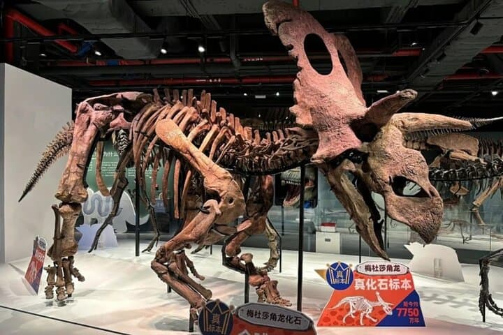Explore Guangzhou's Grandview Museum of Natural Science: Dinosaurs, Space Shows & Hands-On Labs photo 2