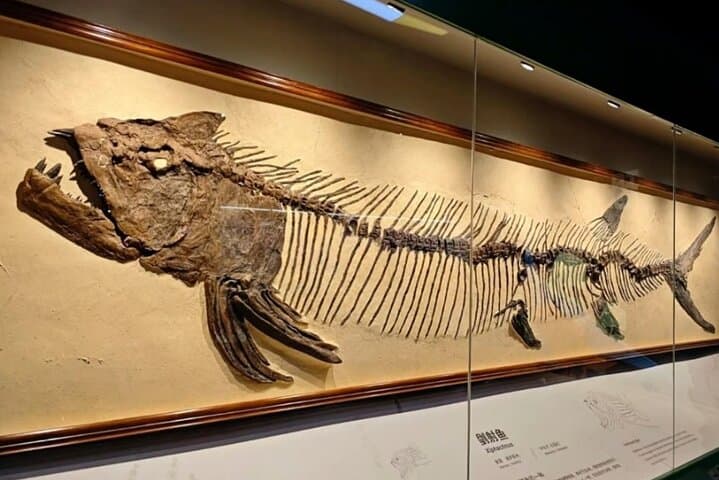 Explore Guangzhou's Grandview Museum of Natural Science: Dinosaurs, Space Shows & Hands-On Labs photo 3