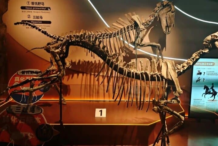 Explore Guangzhou's Grandview Museum of Natural Science: Dinosaurs, Space Shows & Hands-On Labs photo 4
