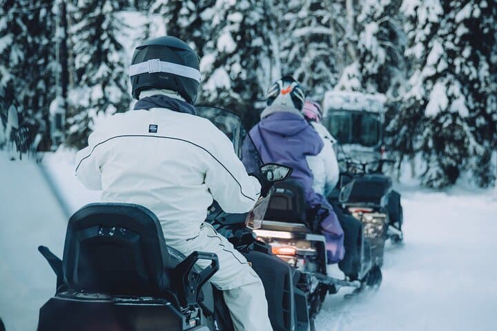 Forest Snowmobile Tour from Fairbanks — Chena River & Pipeline Snowmobile Ride