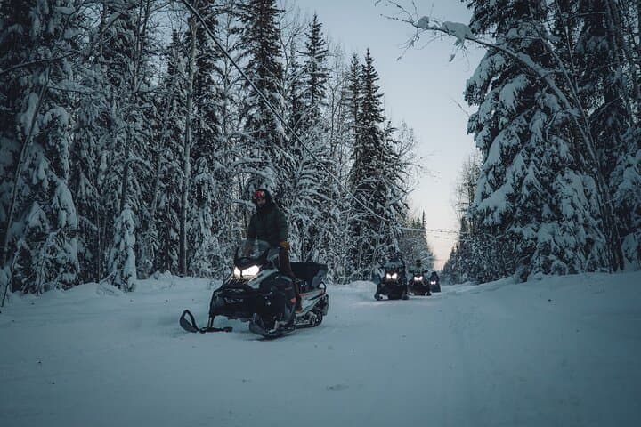 Forest Snowmobile Tour from Fairbanks — Chena River & Pipeline Snowmobile Ride photo 3