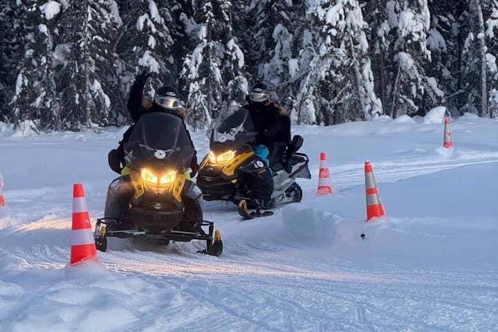 Forest Snowmobile Tour from Fairbanks — Chena River & Pipeline Snowmobile Ride photo 5
