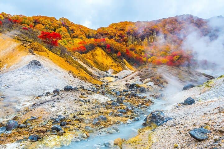 Winter day tour from Sapporo: Noboribetsu Hell Valley, Lake Toya & Bear Farm