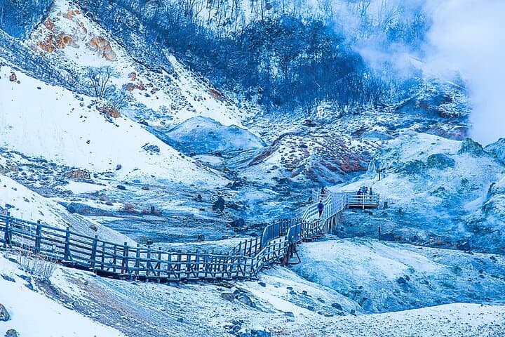 Winter day tour from Sapporo: Noboribetsu Hell Valley, Lake Toya & Bear Farm photo 5