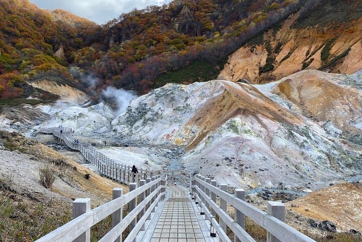 Winter day tour from Sapporo: Noboribetsu Hell Valley, Lake Toya & Bear Farm photo 3