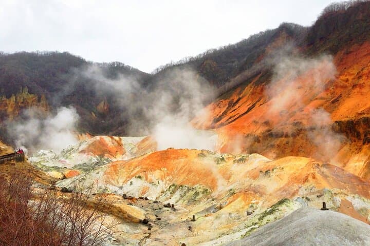 Winter day tour from Sapporo: Noboribetsu Hell Valley, Lake Toya & Bear Farm photo 2