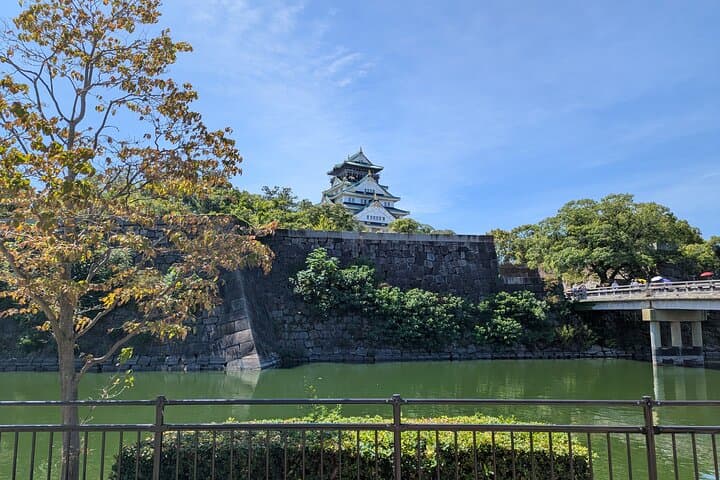 Private Osaka Walking Tour with Local Experts — Custom 3–7 Hour City Experience