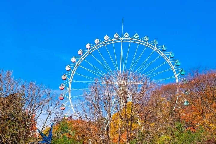 Seoul City Pass Premium: 5-Attraction Digital Pass with 1GB eSIM (7 Days) photo 2