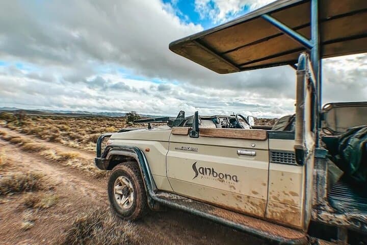 Sanbona Luxury Safari from Cape Town: 3-Day Dywaka Lodge Big Five Experience photo 4