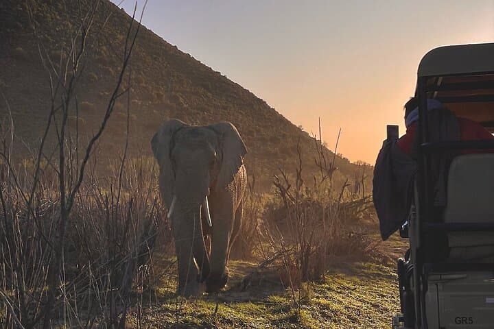 Sanbona Luxury Safari from Cape Town: 3-Day Dywaka Lodge Big Five Experience photo 2