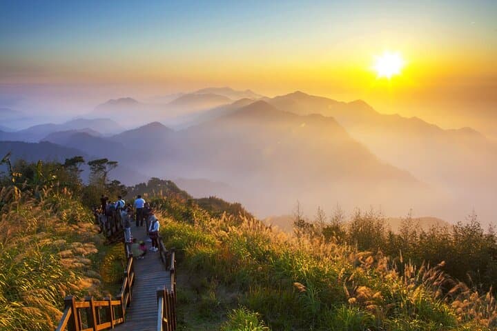 Alishan National Forest Recreation Area Ticket — Zhushan Line Train & Sea of Clouds Experience