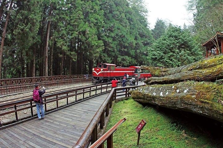 Alishan National Forest Recreation Area Ticket — Zhushan Line Train & Sea of Clouds Experience photo 4