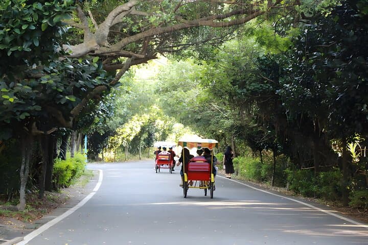 Taipei Coast Day Trip: Railbike, Coastal Cycling & Hakka Ginger Spa photo 2