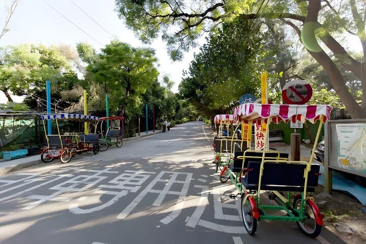 Taipei Coast Day Trip: Railbike, Coastal Cycling & Hakka Ginger Spa photo 6