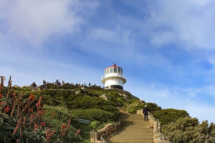 Cape Peninsula Private Tour: Table Mountain, Chapman's Peak & Boulders Beach Penguins photo 4