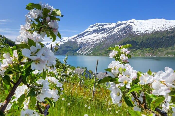 Hardanger Fjord Scenic Tour from Bergen — Waterfalls, Farm Lunch & Fjord Ferry