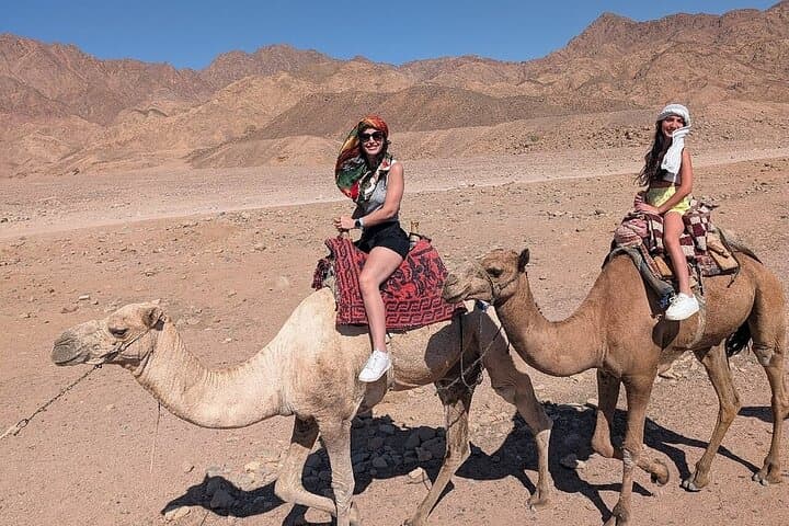 One-Hour Camel Ride in Hurghada Desert with Hotel Transfer photo 6