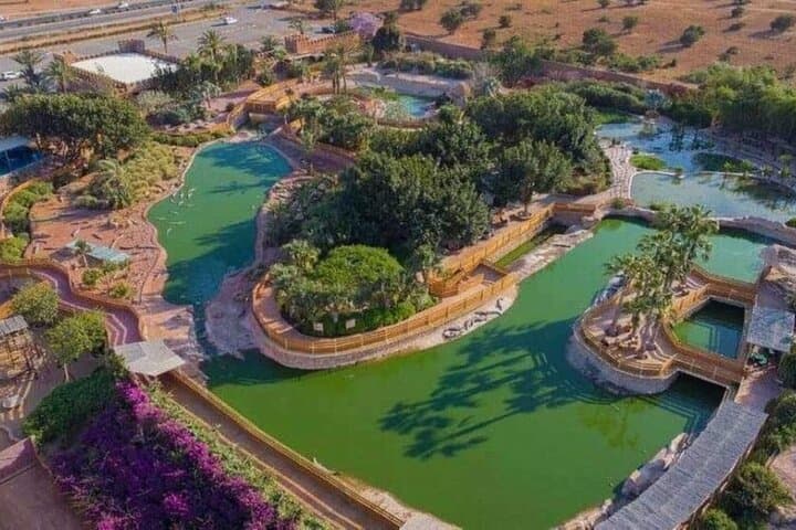 Agadir Wildlife and Quad Adventure — Crocoparc, Lion Park & Argan Trail Ride photo 2