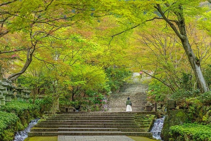 Katsuoji Temple Walking Tour: Daruma, Forest Trails & Autumn Color Near Osaka photo 5