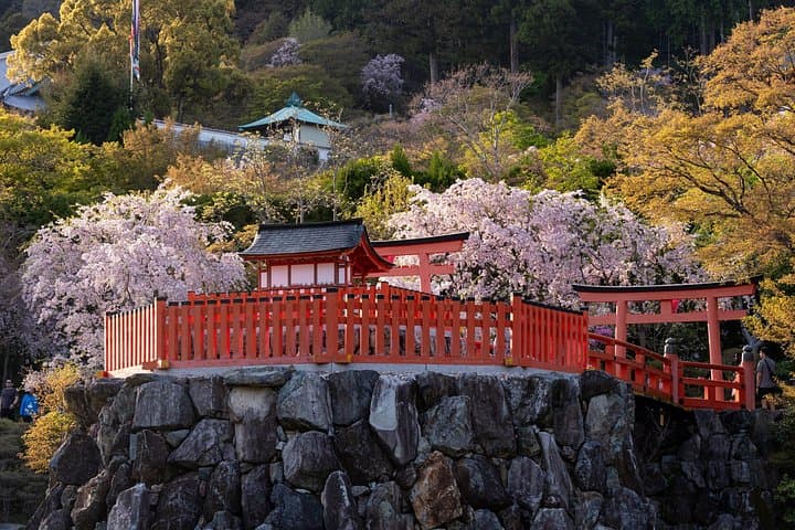 Katsuoji Temple Walking Tour: Daruma, Forest Trails & Autumn Color Near Osaka