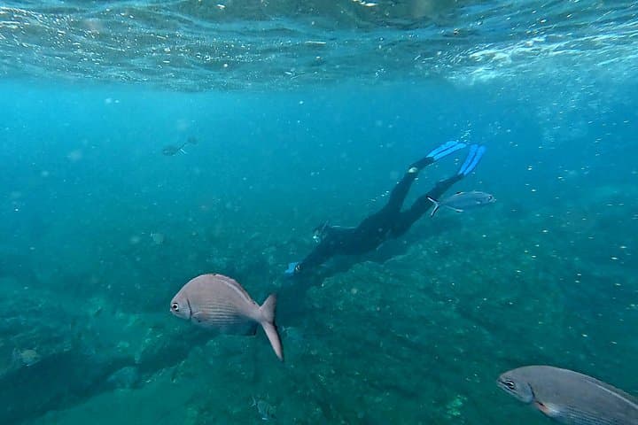Snorkel the Ilhéu: Glassy Waters and Volcanic Reefs Off Vila Franca do Campo photo 4