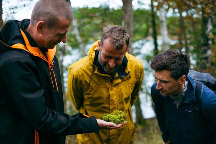 Bogesund Hike, Fire-Cooked Lunch & Cold-Water Floating near Stockholm photo 5