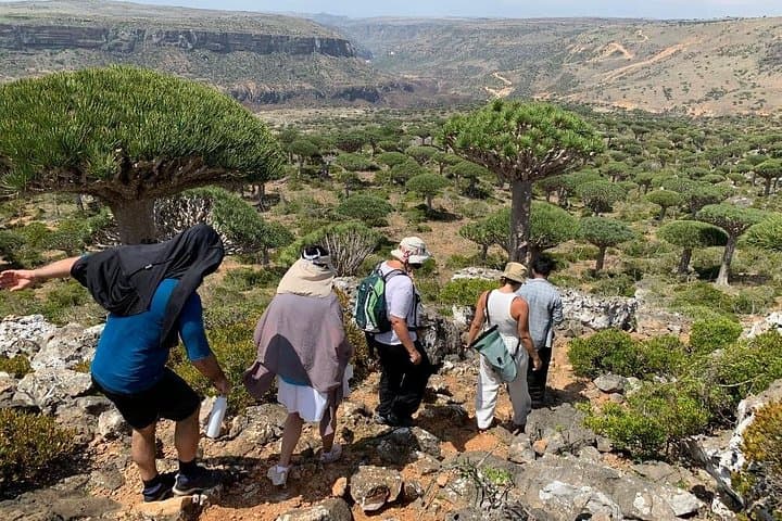 5-Day Socotra Adventure: Dragon's Blood Trees, Hoq Cave & Detwah Lagoon photo 3