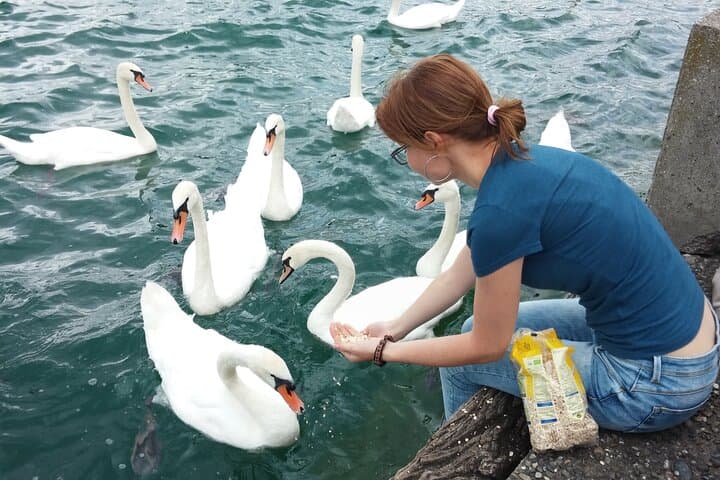 Zurich Highlights Private Walking Tour: Local-Guided City Sightseeing photo 2