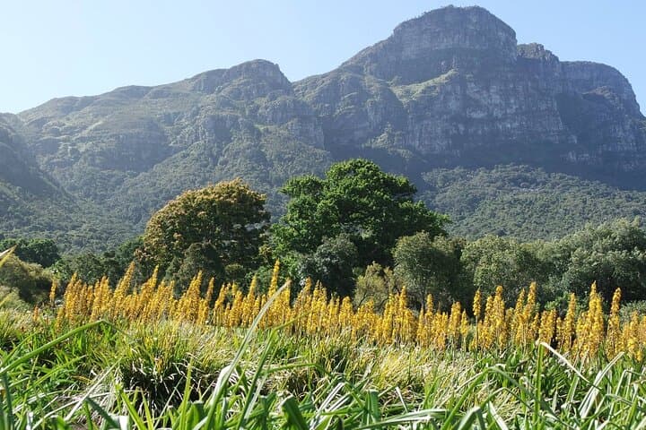 Kirstenbosch Botanical Garden Entry — Cape Town Visitor Guide