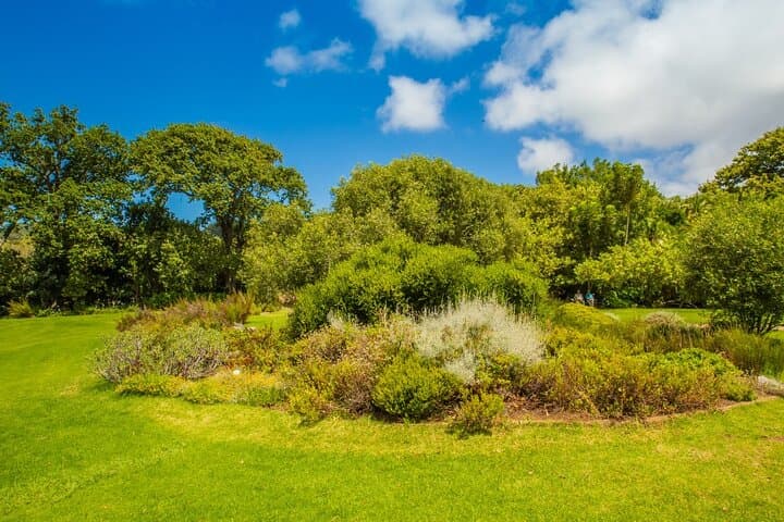 Kirstenbosch Botanical Garden Entry — Cape Town Visitor Guide photo 4