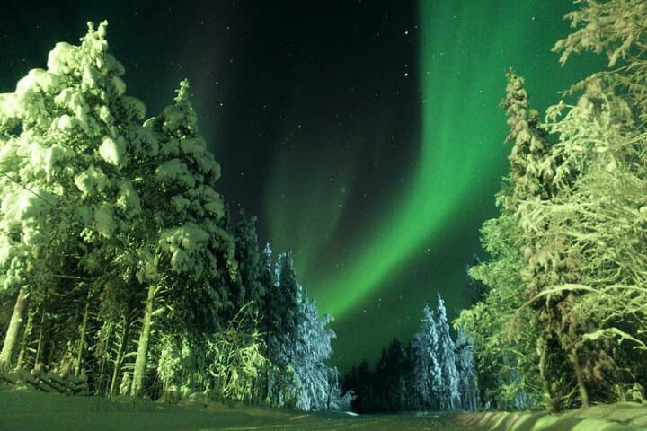 Chase the Aurora: Levi Northern Lights Tour with Money-Back Guarantee