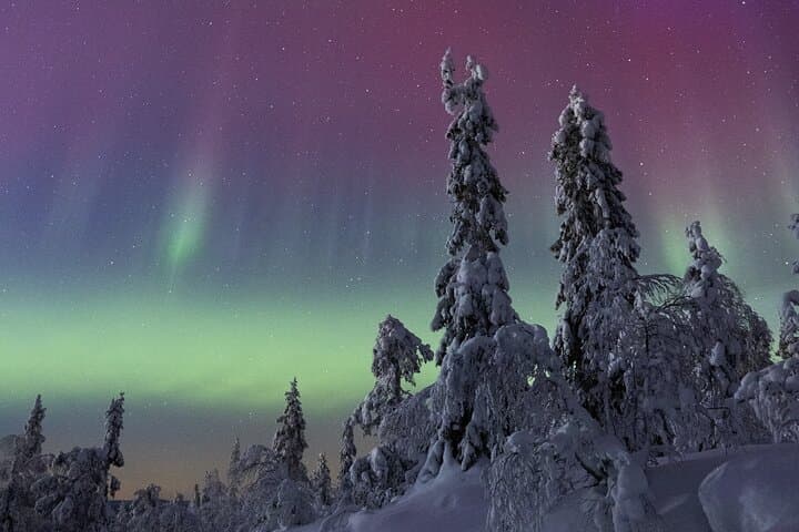 Chase the Aurora: Levi Northern Lights Tour with Money-Back Guarantee photo 2