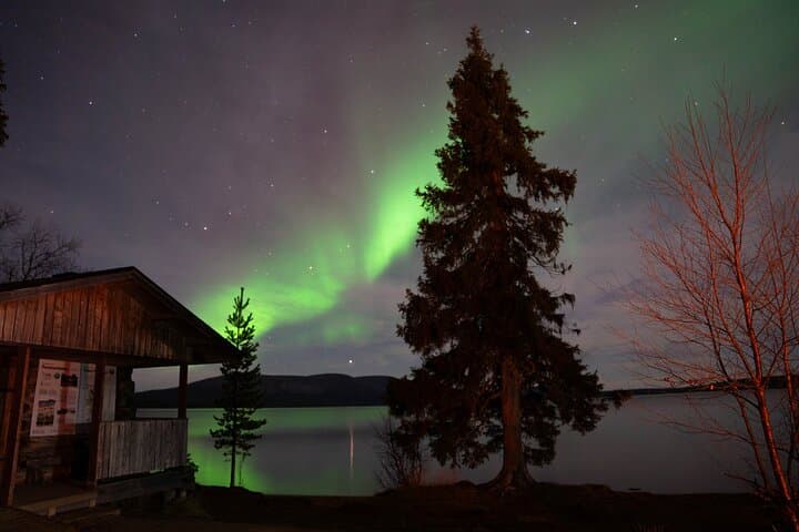 Chase the Aurora: Levi Northern Lights Tour with Money-Back Guarantee photo 3