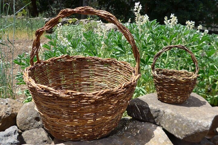 Palm-Broom Basket Weaving in Agulo — Sustainable Craft Workshop on La Gomera photo 5