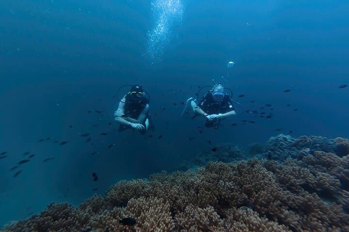 Phu Quoc Full-Day Scuba Diving — 2 Dives, Coral Gardens & Boat Transfer photo 5